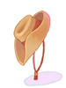 Cowboy Hat