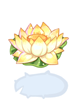 Flower Lily