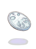 Mithril Coin