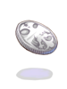 Silver Coin